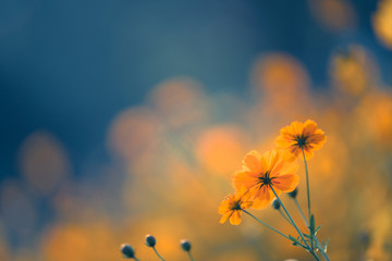 成都的房价多少钱一平外地人成都购房攻略