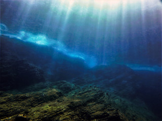 君子兰怎么施肥？