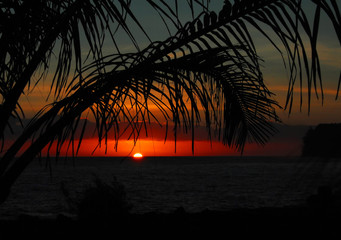 网上订票从几点开始啊