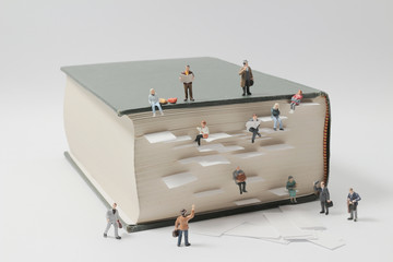 君子兰怎么施肥？