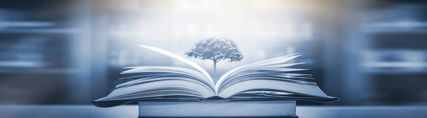 网上订票从几点开始啊