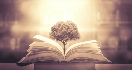 含水层与隔水层的概念