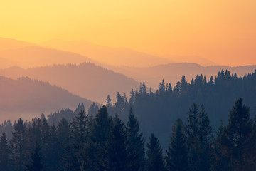 网上订票从几点开始啊