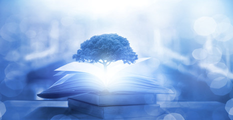 含水层与隔水层的概念