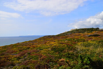 成都的房价多少钱一平外地人成都购房攻略