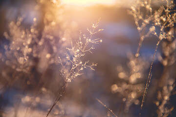 北京市居民阶梯式气价什么时候开始实行？