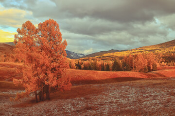 上海雷达手表怎么更换电池？