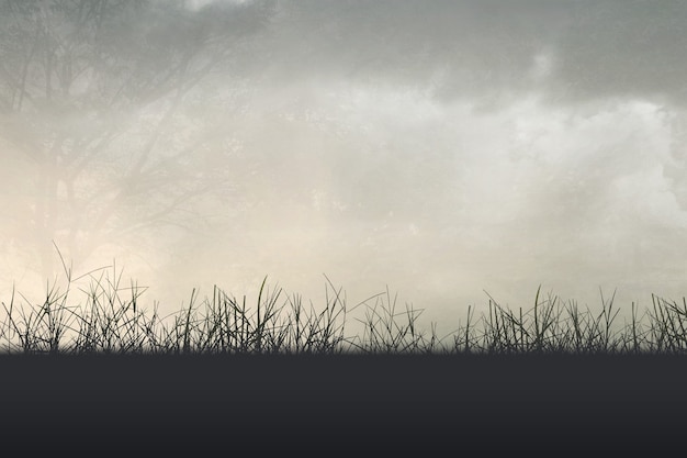 君子兰怎么施肥？