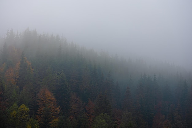 成都的房价多少钱一平外地人成都购房攻略