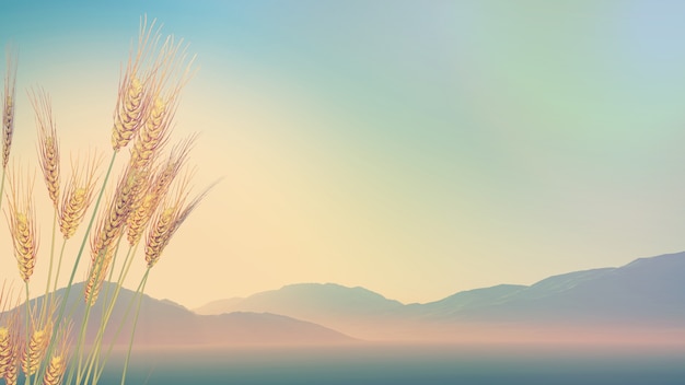 上海雷达手表怎么更换电池？