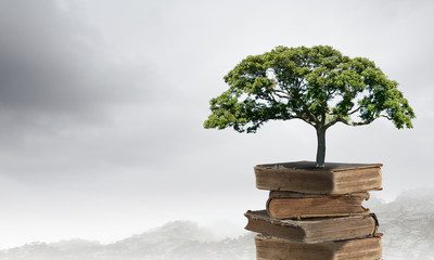 朗逸是国产车还是合资车