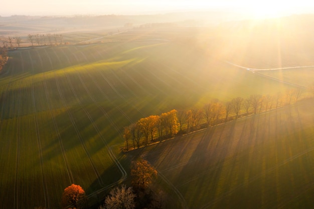 原木检尺径怎么算？