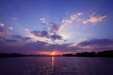 君子兰怎么施肥？