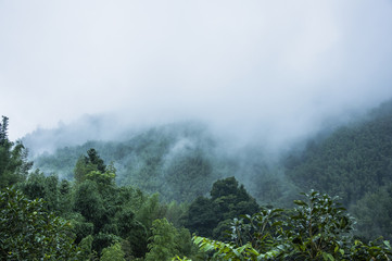 可以给公积金账户打钱吗